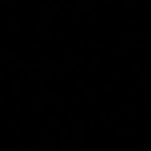 Meet your Posher, Sadie